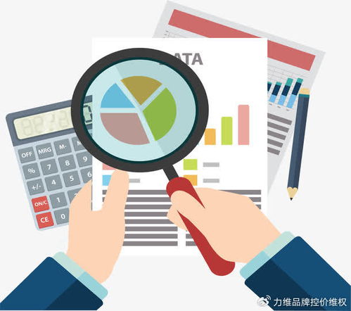 專(zhuān)業(yè)電商數(shù)據(jù)分析服務(wù)賦能品牌破局